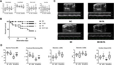 Methyl Ferulic Acid Attenuates Human Cardiac Fibroblasts Differentiation and Myocardial Fibrosis by Suppressing pRB-E2F1/CCNE2 and RhoA/ROCK2 Pathway